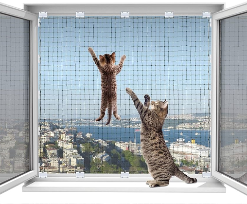 Kedi Filesi Uygulaması